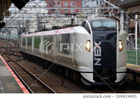 Limited Express Narita Express entering Hachioji Station on the Chuo Rapid Line 109919483