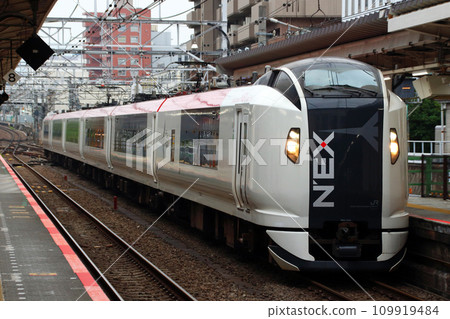Limited Express Narita Express entering Hachioji Station on the Chuo Rapid Line 109919484