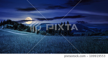coniferous forest on a hill near the path through the meadow in mountainous rural landscape at night. beautiful countryside summer scenery in full moon light coniferous forest on a hill near the path through the meadow in mountainous rural landscape at night. beautiful countryside summer scenery in full moon light 109919553