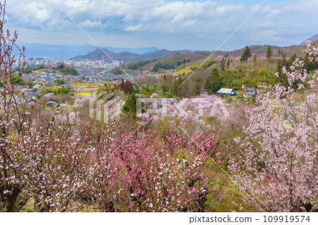 Fukushima City, Fukushima Prefecture Hanamiyama Park Fukushima City, Fukushima Prefecture Hanamiyama Park 109919574