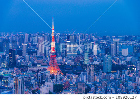 東京都/城市景觀/東京鐵塔夜景 109920127