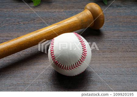 Hardball baseball and wooden bat Hardball baseball and wooden bat 109920195