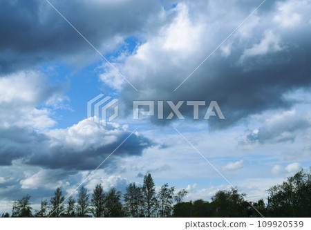 Beautiful cumulus clouds in the sky above a row of silhouettes of trees Beautiful cumulus clouds in the sky above a row of silhouettes of trees 109920539