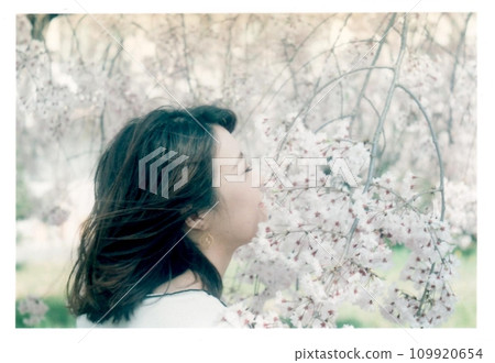 A woman looking up at the cherry tree A woman looking up at the cherry tree 109920654
