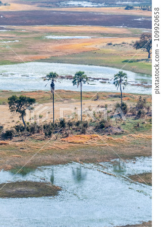 Aerial view of the Okavango Delta Aerial view of the Okavango Delta 109920658