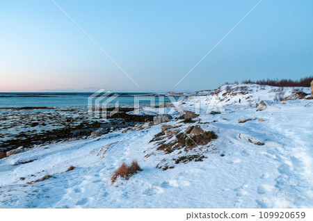 Norwegian winter landscape Norwegian winter landscape 109920659