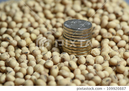 Dollars banknotes and coins and soy beans, commoditi value concept. Dollars banknotes and coins and soy beans, commoditi value concept. 109920887