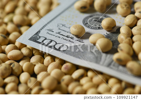 Dollars banknotes and coins and soy beans, commoditi value concept. Dollars banknotes and coins and soy beans, commoditi value concept. 109921147