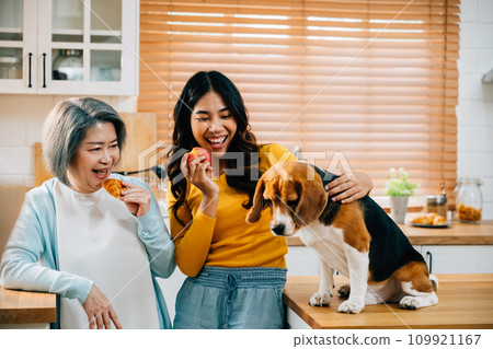 In the cozy kitchen of their home, a young Asian woman, her mother, and their beagle dog enjoy quality time together. This image embodies the concept of family, fun, and pet happiness. Pet love In the cozy kitchen of their home, a young Asian woman, her mother, and their beagle dog enjoy quality time together. This image embodies the concept of family, fun, and pet happiness. Pet love 109921167