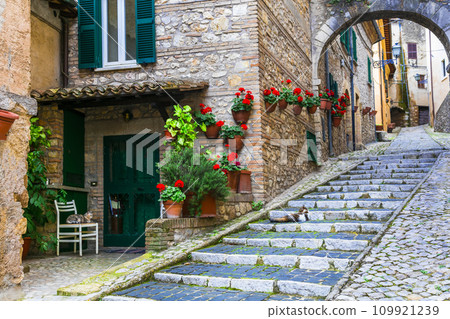 Traditional medieval villages of Italy - picturesque old floral streets of Casperia, Rieti province. 109921239