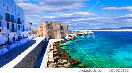 Beautiful coastal tow Monopoli in Puglia, view with medieval castle. Italy 109921292