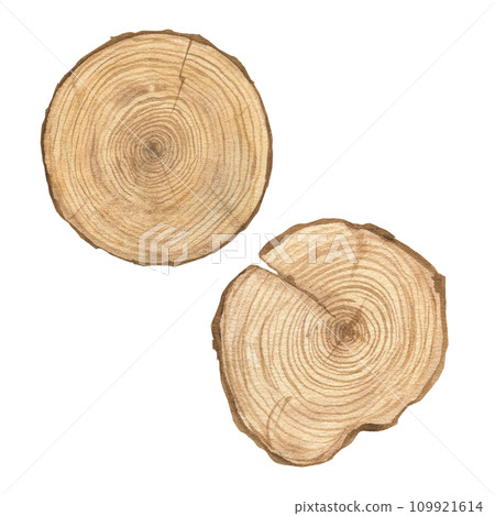 Watercolor illustration of set wood texture, round cut of wood, wooden rings isolated. Sawn wood. Handmade. 109921614