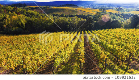 Italy scenery. Traditional countryside and vineyards of beautiful Tuscany in autumn golden colours 109921632