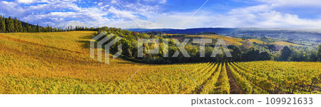 Italy scenery. Traditional countryside and vineyards of beautiful Tuscany in autumn golden colours Italy scenery. Traditional countryside and vineyards of beautiful Tuscany in autumn golden colours 109921633