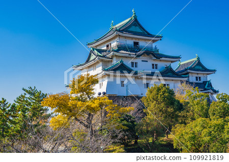 冬天的和歌山城在藍天的襯托下熠熠生輝 109921819