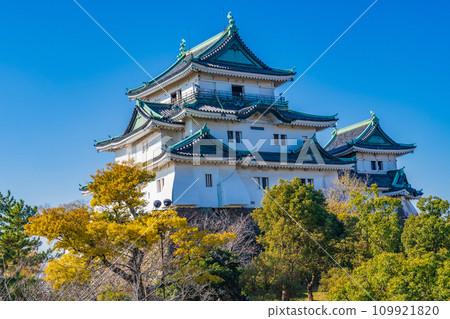 冬天的和歌山城在藍天的襯托下熠熠生輝 109921820