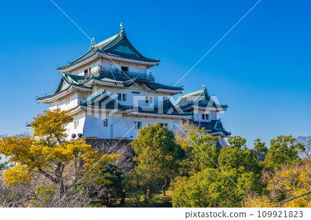 Wakayama Castle in winter shining against the blue sky 109921823