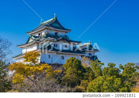 Wakayama Castle in winter shining against the blue sky 109921831