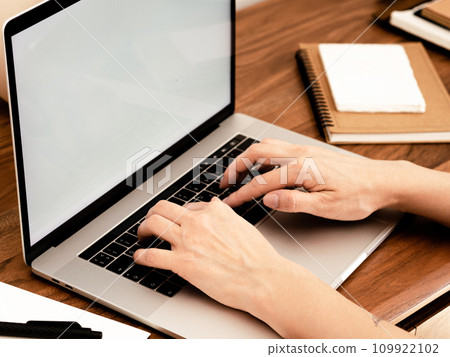 Unidentified woman working on a laptop at home 109922102