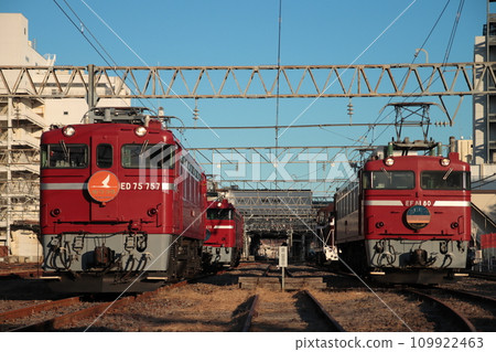 Electric locomotives whose bodies are beautifully colored by the setting sun_Photographed on December 2, 2023 109922463