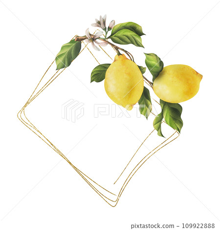 Lemons are yellow, juicy, ripe with green leaves, flower buds on the branches, whole and slices. Watercolor, hand drawn botanical illustration. Frame, template on a white background. 109922888