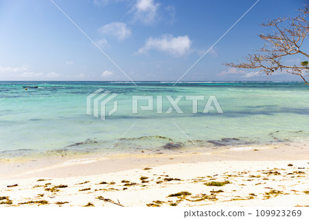 Anse Royale beach on a sunny day, Seychelles. Coastal view 109923269