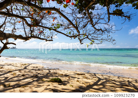Anse Royale beach on a sunny day, Seychelles. Coastal view 109923270