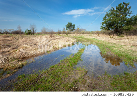 Water after snowmelt on a dirt road through a meadow 109923429