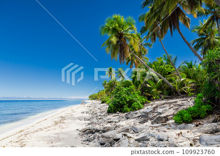Coconut holiday beach on Maldives island, ideal place for chilling. Tropical banner Coconut holiday beach on Maldives island, ideal place for chilling. Tropical banner 109923760