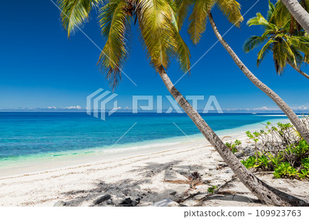 Luxury coconut palm beach on Maldives. Tropical holiday banner with ocean 109923763