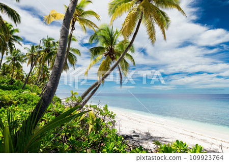 Luxury beach on Maldives atoll. Tropical banner with blue ocean Luxury beach on Maldives atoll. Tropical banner with blue ocean 109923764