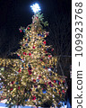 聖誕樹 109923768