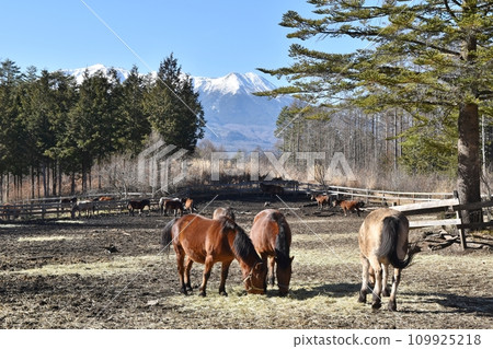 Snowy Mt. Mitake and Kisouma Nagano 109925218