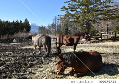 Snowy Mt. Mitake and Kisouma Nagano Snowy Mt. Mitake and Kisouma Nagano 109925234