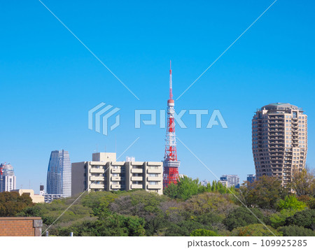 Tokyo Tower seen from Hiroo (November 2023) Tokyo Tower seen from Hiroo (November 2023) 109925285