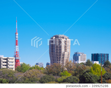 Tokyo Tower seen from Hiroo (November 2023) 109925286