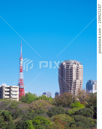 Tokyo Tower seen from Hiroo (November 2023) 109925287