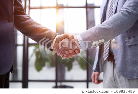 Close up shot of two business people shaking hands in the office Close up shot of two business people shaking hands in the office 109925499