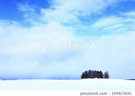 北海道美瑛的冬天風景 109925691