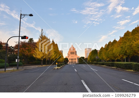 東京清晨國會議事堂前的銀杏樹 東京清晨國會議事堂前的銀杏樹 109926279