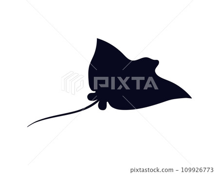 Stingray silhouette, vector illustration isolated on white background Stingray silhouette, vector illustration isolated on white background 109926773