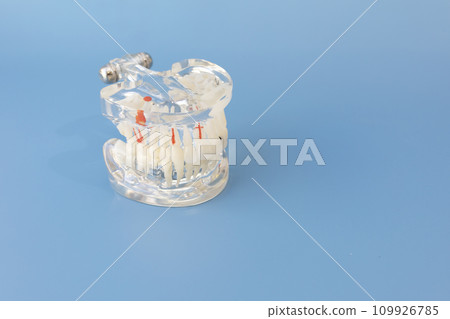 Study Standard Typodont or Periodontal Disease Teeth Model for Laboratory Teaching on Blue Background Mockup, Copy Space For Text. Horizontal Template. Oral Health. Study Standard Typodont or Periodontal Disease Teeth Model for Laboratory Teaching on Blue Background Mockup, Copy Space For Text. Horizontal Template. Oral Health. 109926785