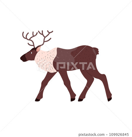 Reindeer with antlers, wild animal of the tundra and taiga, cartoon vector isolated northern brown large ungulate mammal 109926845