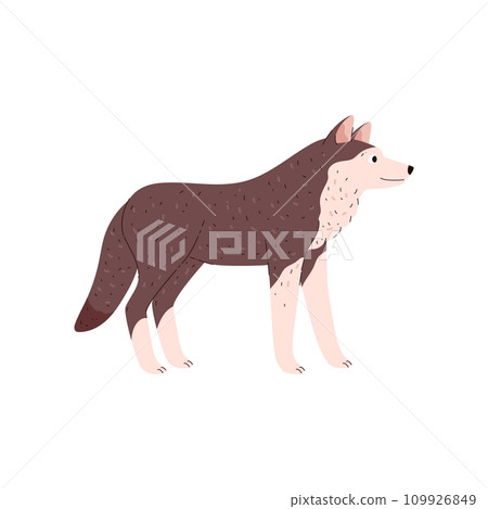 Cute standing wolf tundra animal side view flat style, vector illustration Cute standing wolf tundra animal side view flat style, vector illustration 109926849