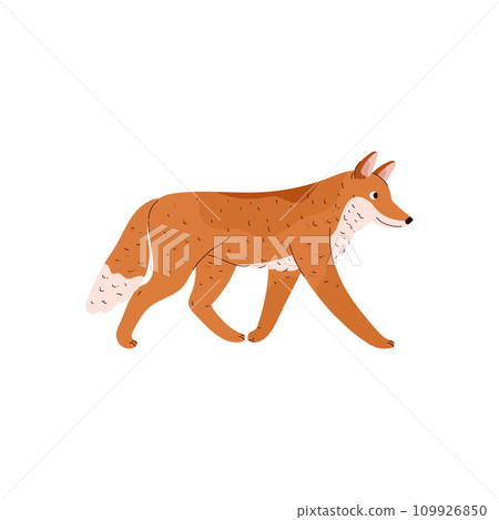 Fox tundra animal. Fox tundra animal. 109926850