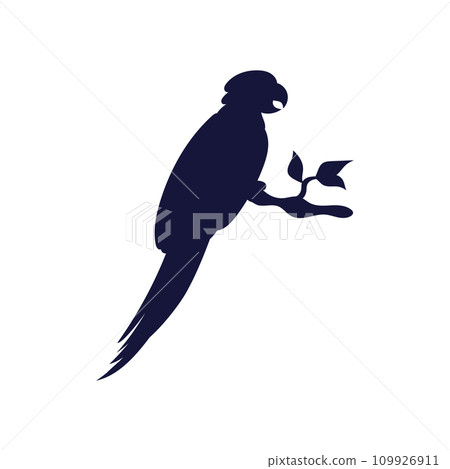 Silhouette of parrot of Amazon or Caribbean birds, vector illustration isolated. 109926911