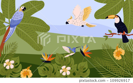 Tropical landscape with different birds flat style, vector illustration 109926917