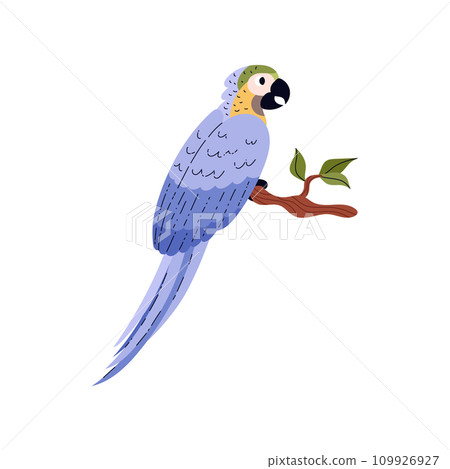 Parrot sitting on branch. 109926927