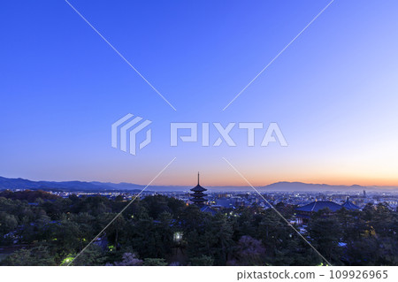 Nara City, Nara Prefecture Night view of Kofukuji five-storied pagoda and Chukondo in autumn View from Nara Prefectural Office Nara City, Nara Prefecture Night view of Kofukuji five-storied pagoda and Chukondo in autumn View from Nara Prefectural Office 109926965