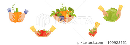 Harvest with Hands Pick and Carry Ripe Crops Vector Set Harvest with Hands Pick and Carry Ripe Crops Vector Set 109928561